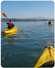 Rutas en kayak por las Lagunas de Ruidera