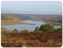 Imagen del otoño en las lagunas altas del Parque Natural de Ruidera.